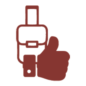 icon4-2